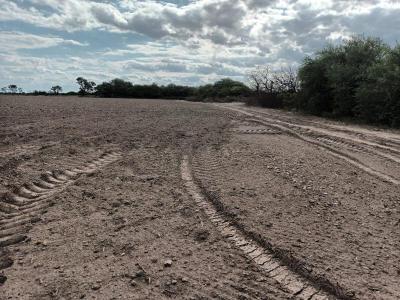 Campos Fincas Chacras Venta Santiago Del Estero Clodomira 21 has limpias