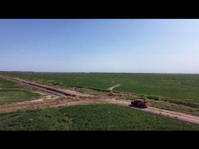 Campos Fincas Chacras Venta Santiago Del Estero 601has Agricolas en Fernandez