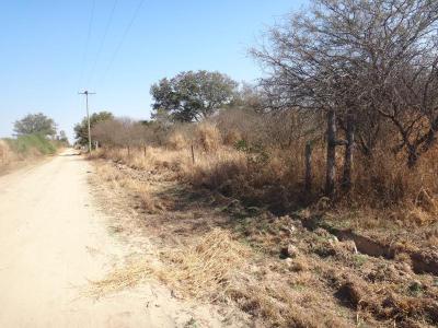 Terrenos Venta Santiago Del Estero TAGLIAVINI VENDE 2 HECTREAS - A 250 METROS DE RUTA N 1 - DISTRITO EL POLEAR - LA BANDA - SDE