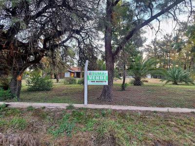 Campos Fincas Chacras Venta Santiago Del Estero AMPLIA FINCA SOBRE RUTA N°9