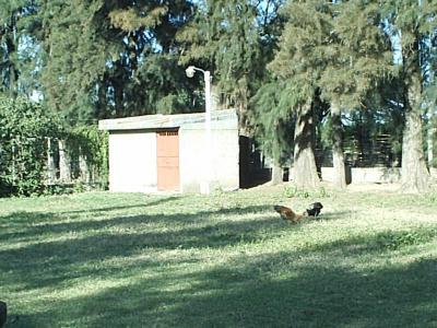 Terrenos Venta Santiago Del Estero Vendo lota Zanjon