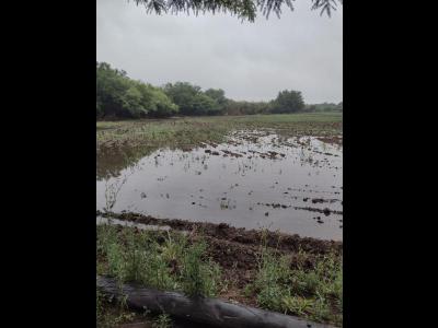 Campos Fincas Chacras Venta Santiago Del Estero vendo finca